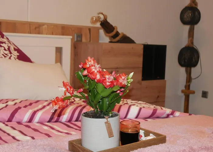 شقة Casa Demy بابينهاوزن